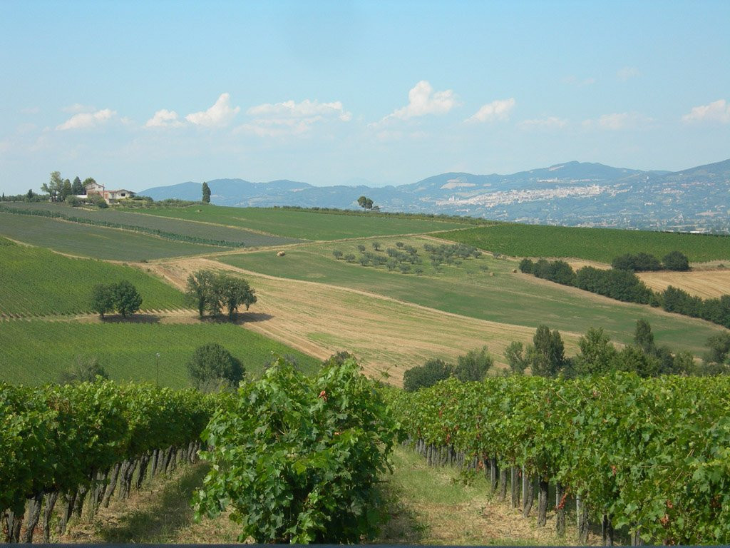 Taste of Umbria-Gualdo Cattaneo必去景点