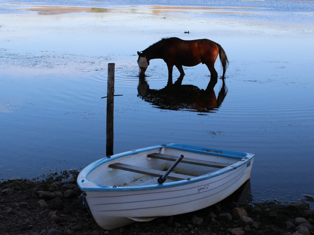 怡东庄园宾馆主图