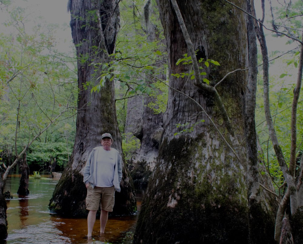 Captain Charles Robbins' Cape Fear River Adventures景点图片