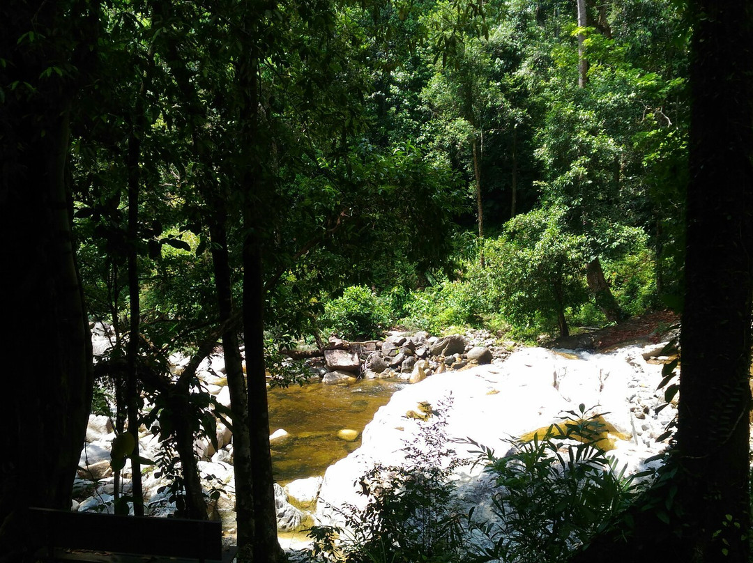 Sekayu Waterfall景点图片