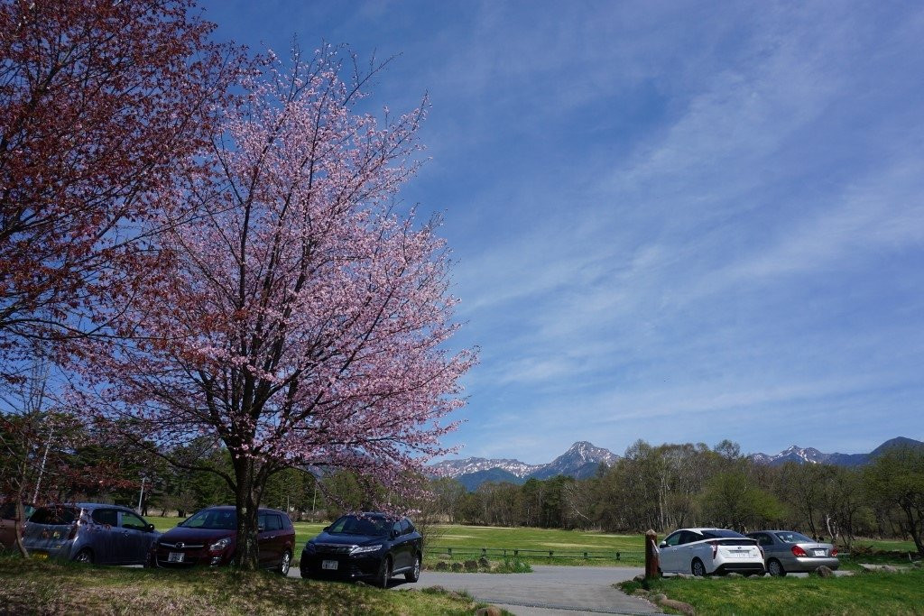 Yatsugatake Farm Stand-原村必去景点