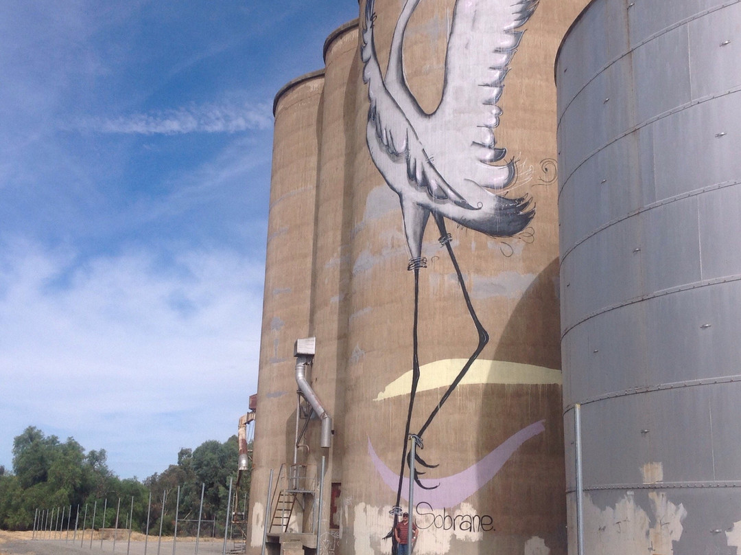 Tungamah旅游攻略图片