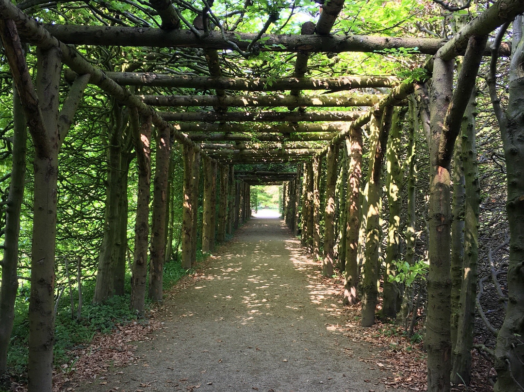 Botanischer Garten景点图片