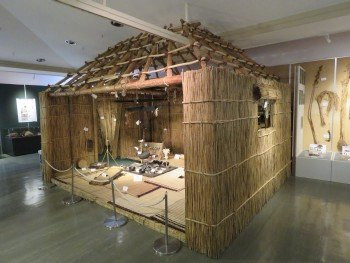 Shinhidakacho Ainu Folk Museum景点图片