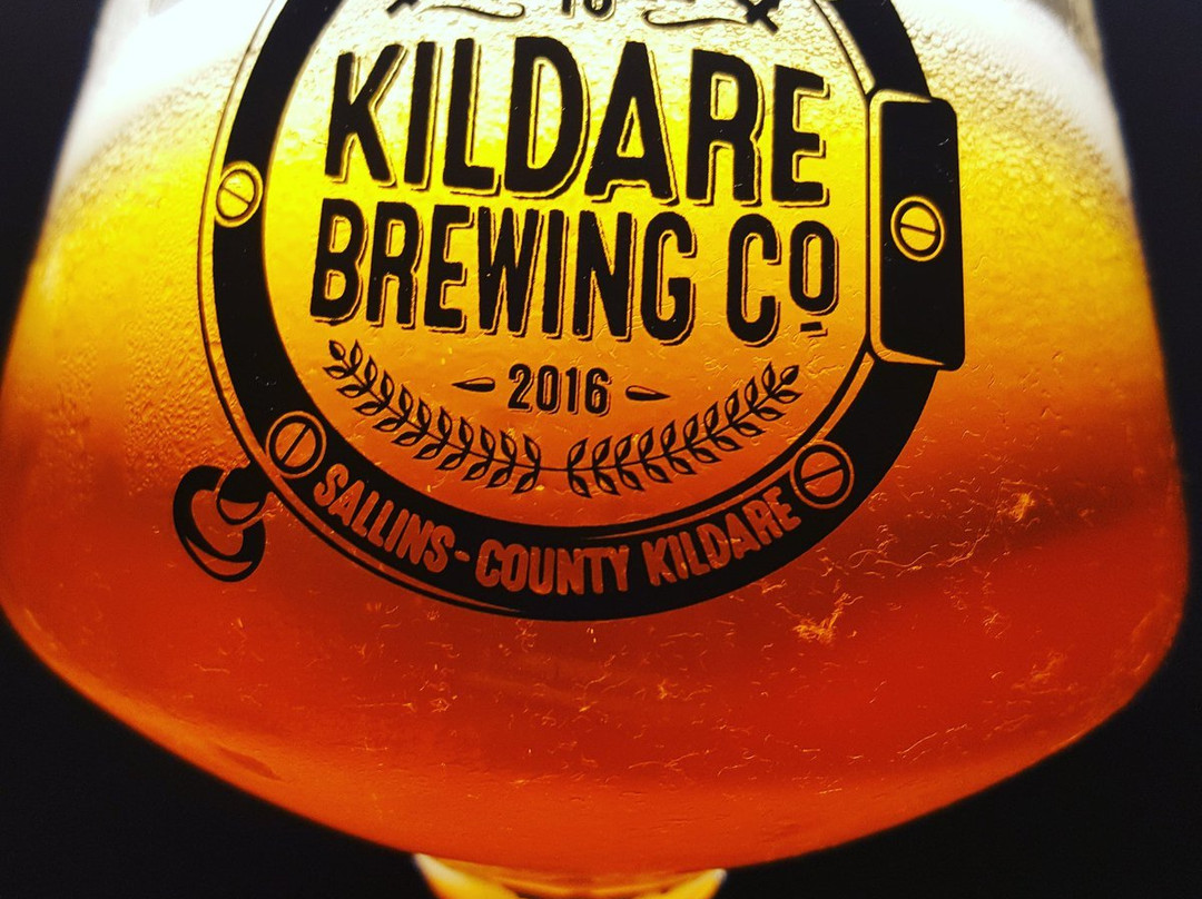 Kildare Brewing Company-Sallins必去景点
