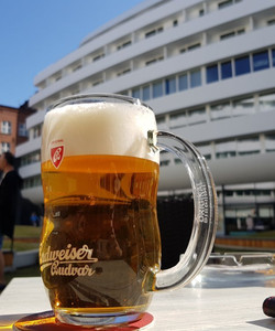 Drevny Kocur餐厅图片