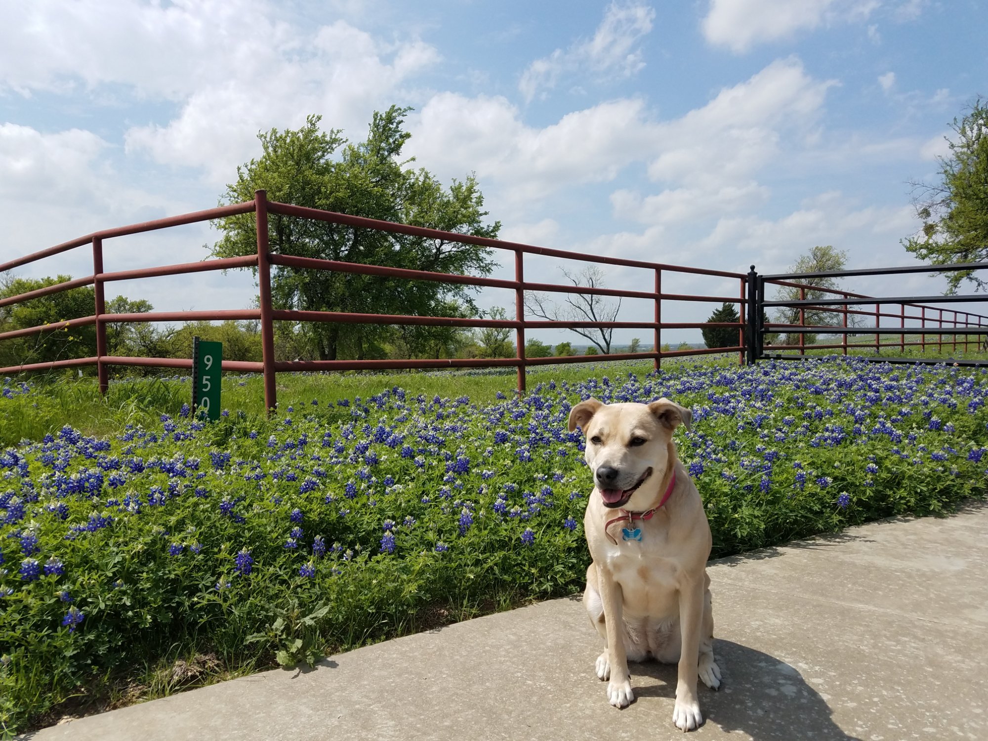 Winding Ridge Bed and Breakfast-官方