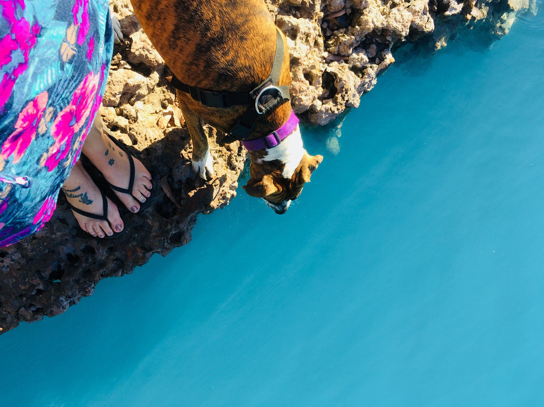 Stockton Lake-Collie必去景点