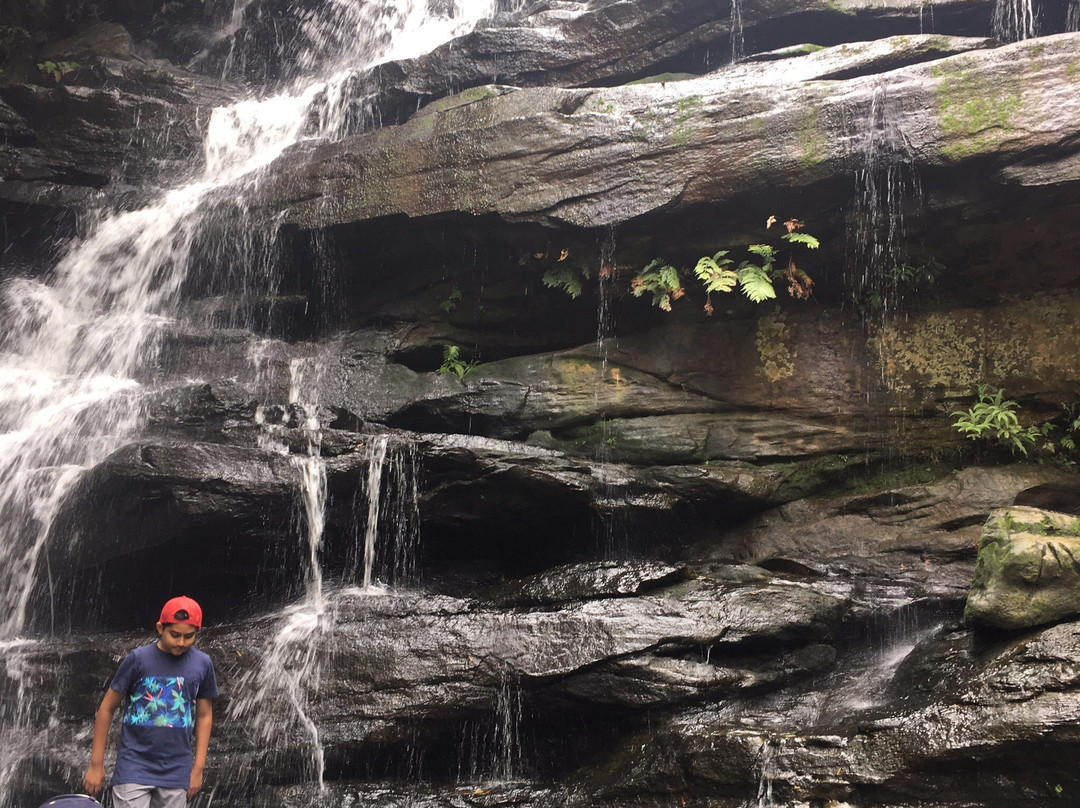 Somersby Waterfalls and Picnic Area景点图片