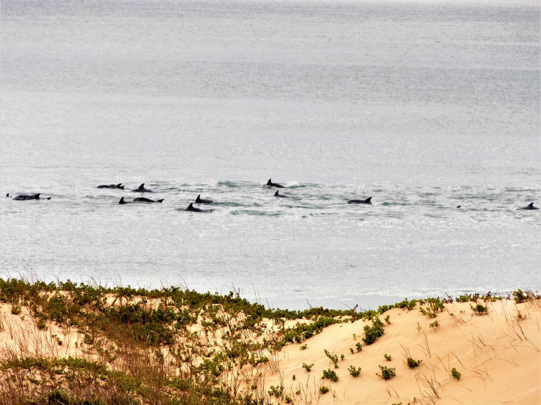 Bluewater Beachfront Guest House主图