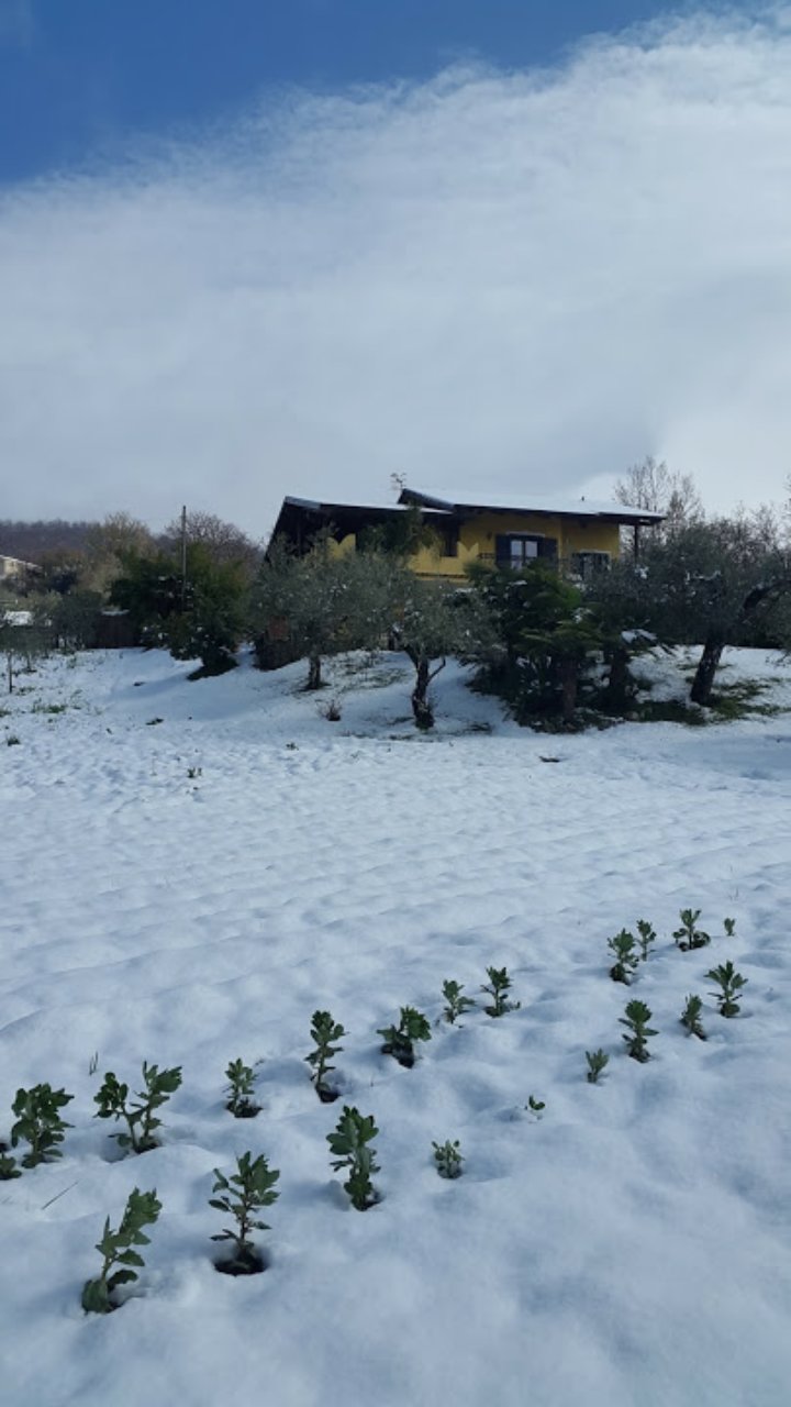 B&B La Sorgente Felitto-官方