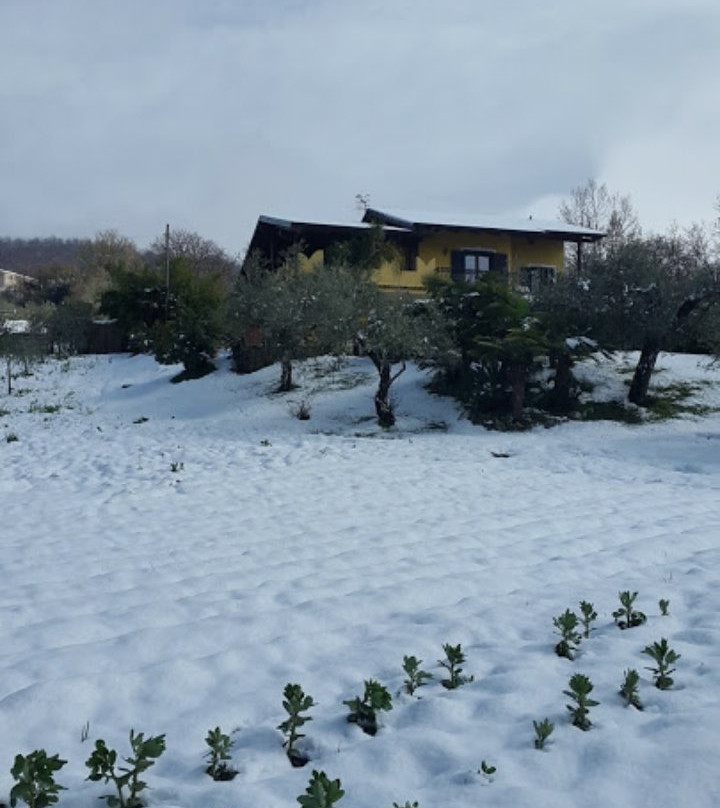 B&B La Sorgente Felitto主图