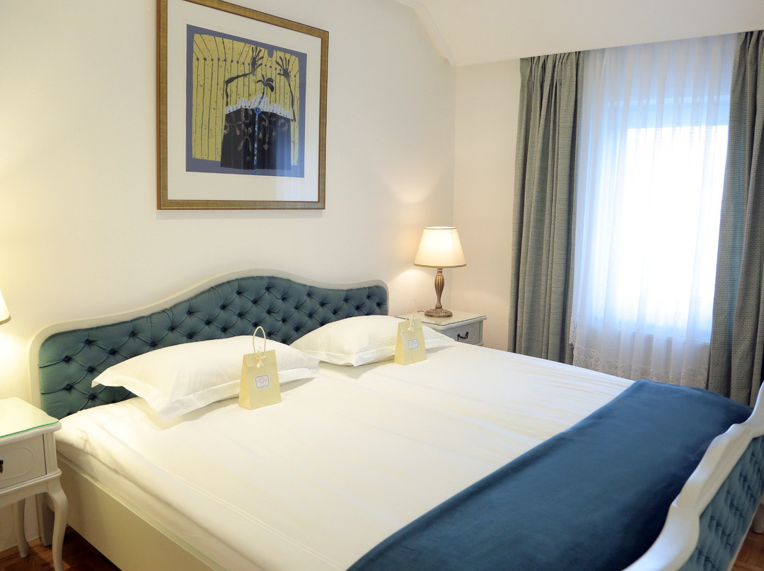 Aparthotel Vila Minka主图