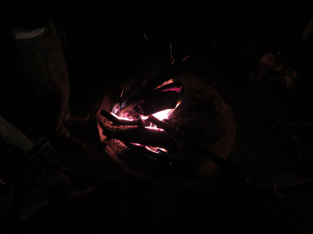 萨罗瓦玛拉野生宿营地主图