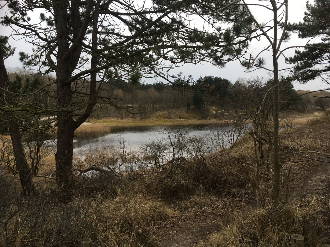 Fletcher Boutique Hotel Duinoord主图