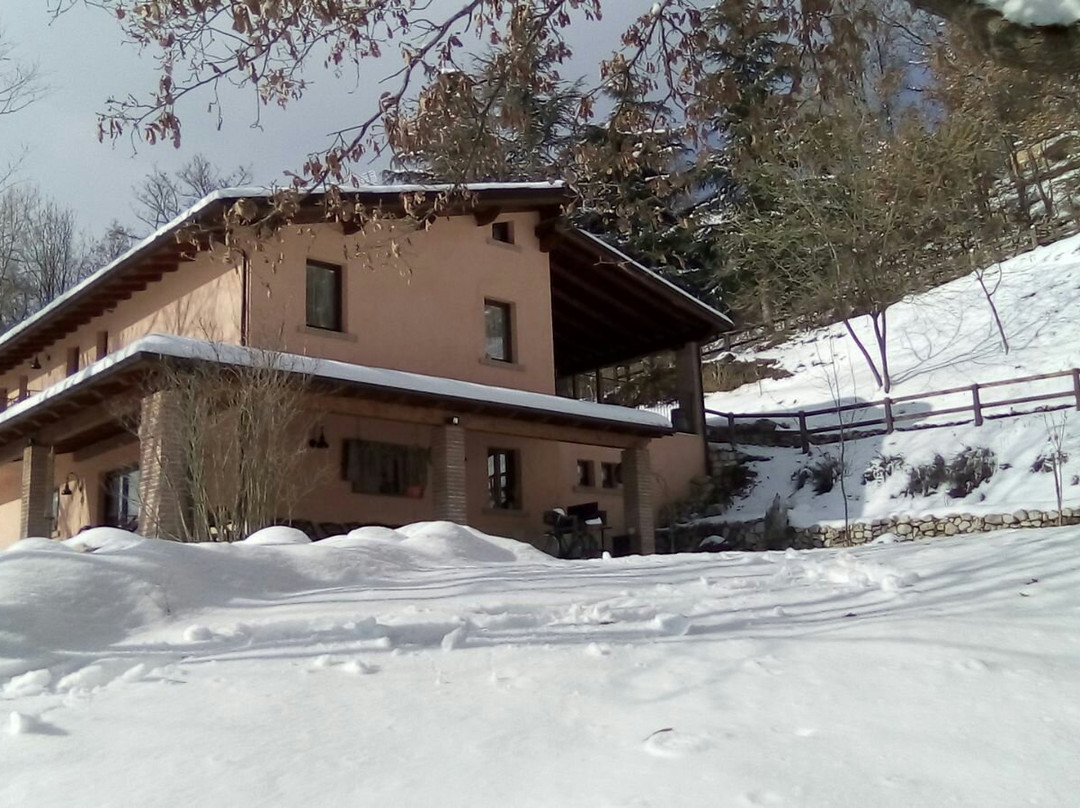 Scanzano旅游攻略图片