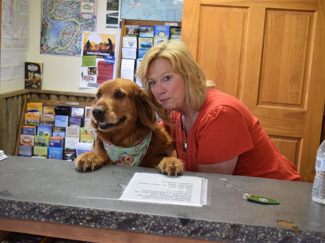 Birch Glen Lodge & Motel主图