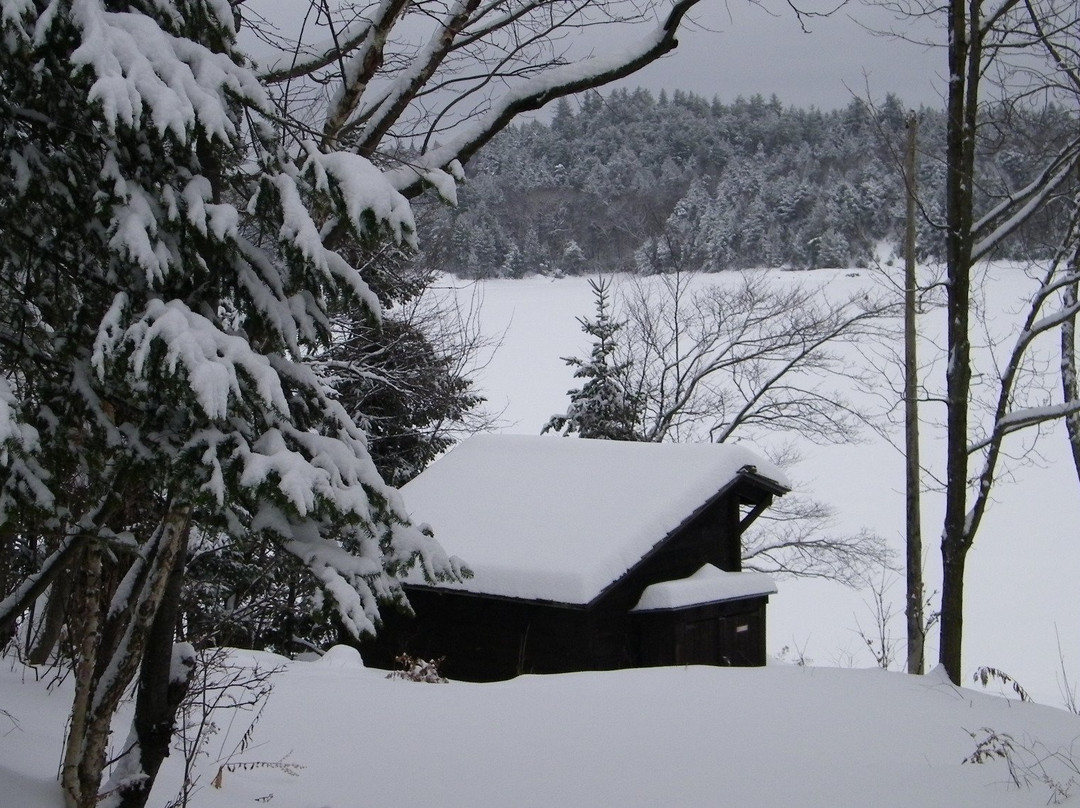 Camp Driftwood主图