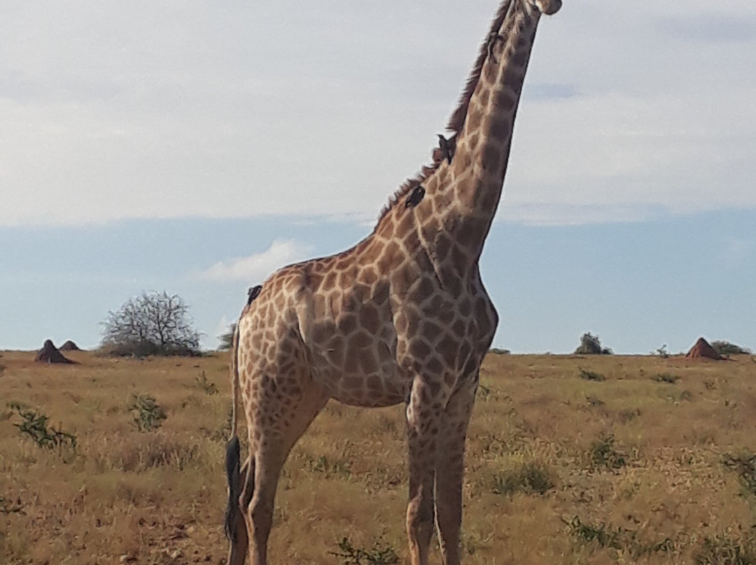 卡帕玛河山林小屋主图