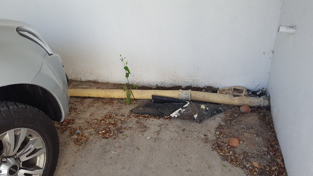 The Welgemoed Guesthouse主图