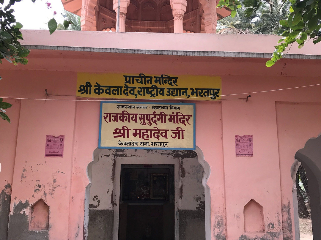 Keoladeo Shiva temple-Bharatpur District必去景点