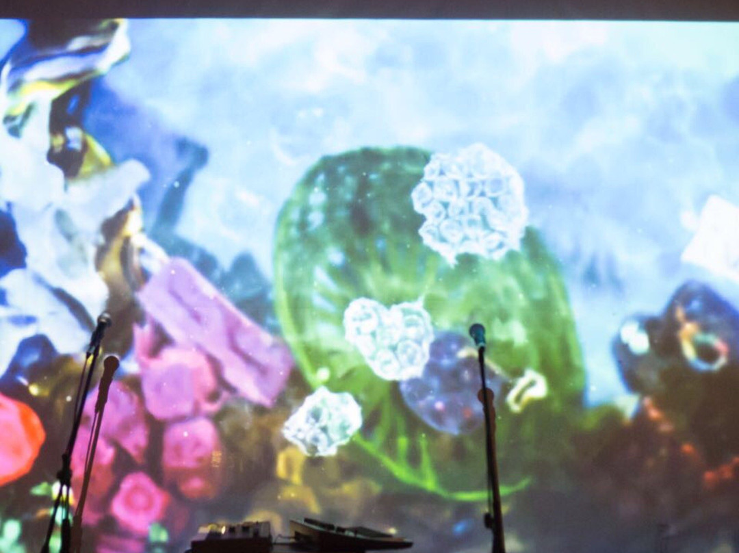 Casa Pajaro Atelier主图