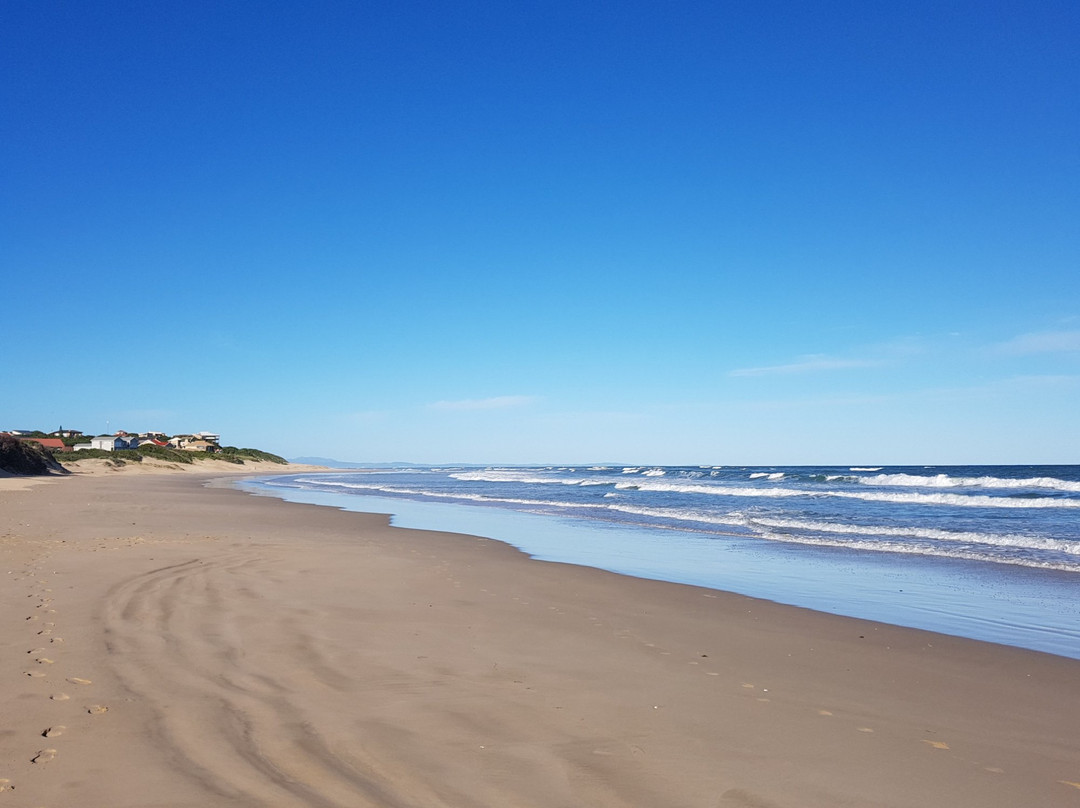 Gaestehaus Saxonia主图