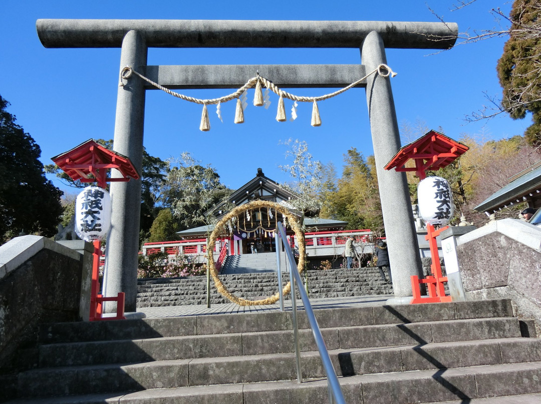 Jingi Taisha Shrine景点图片