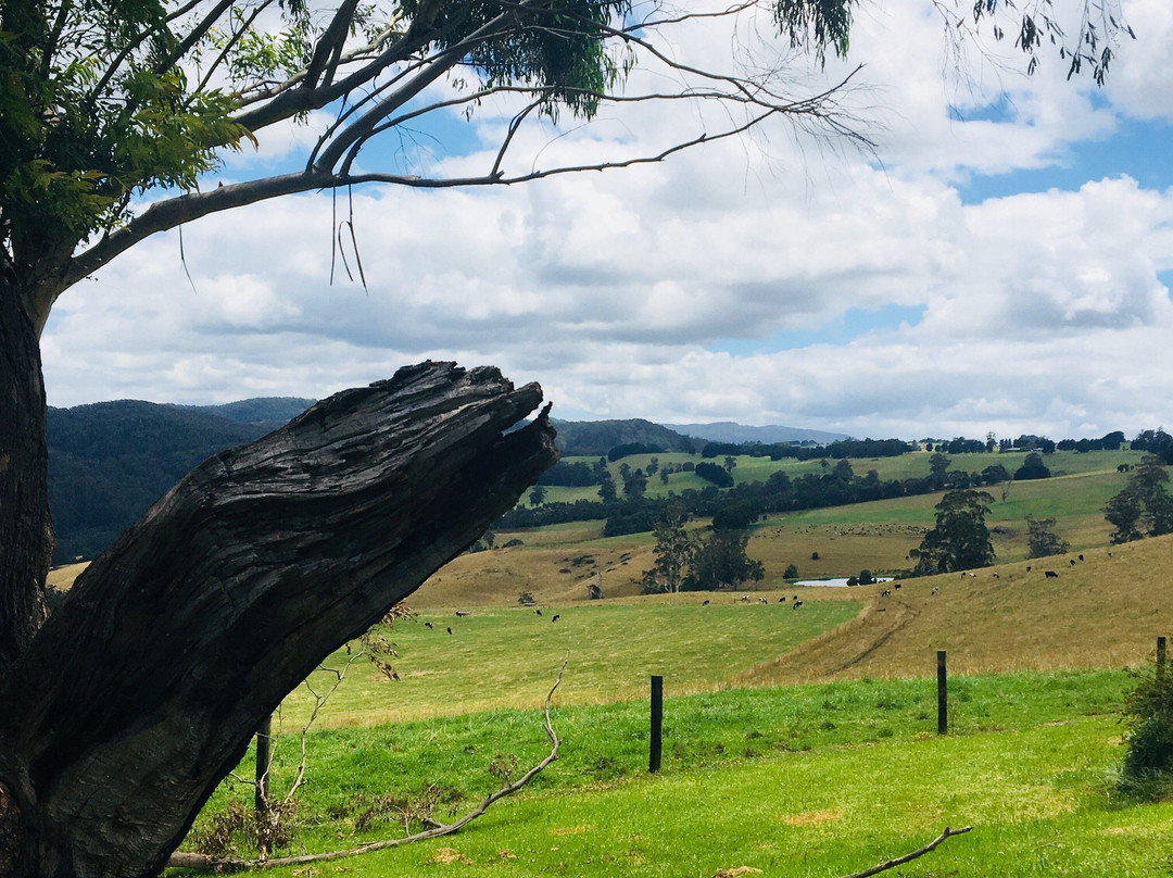 Little Charli's Lookout-Neerim South必去景点