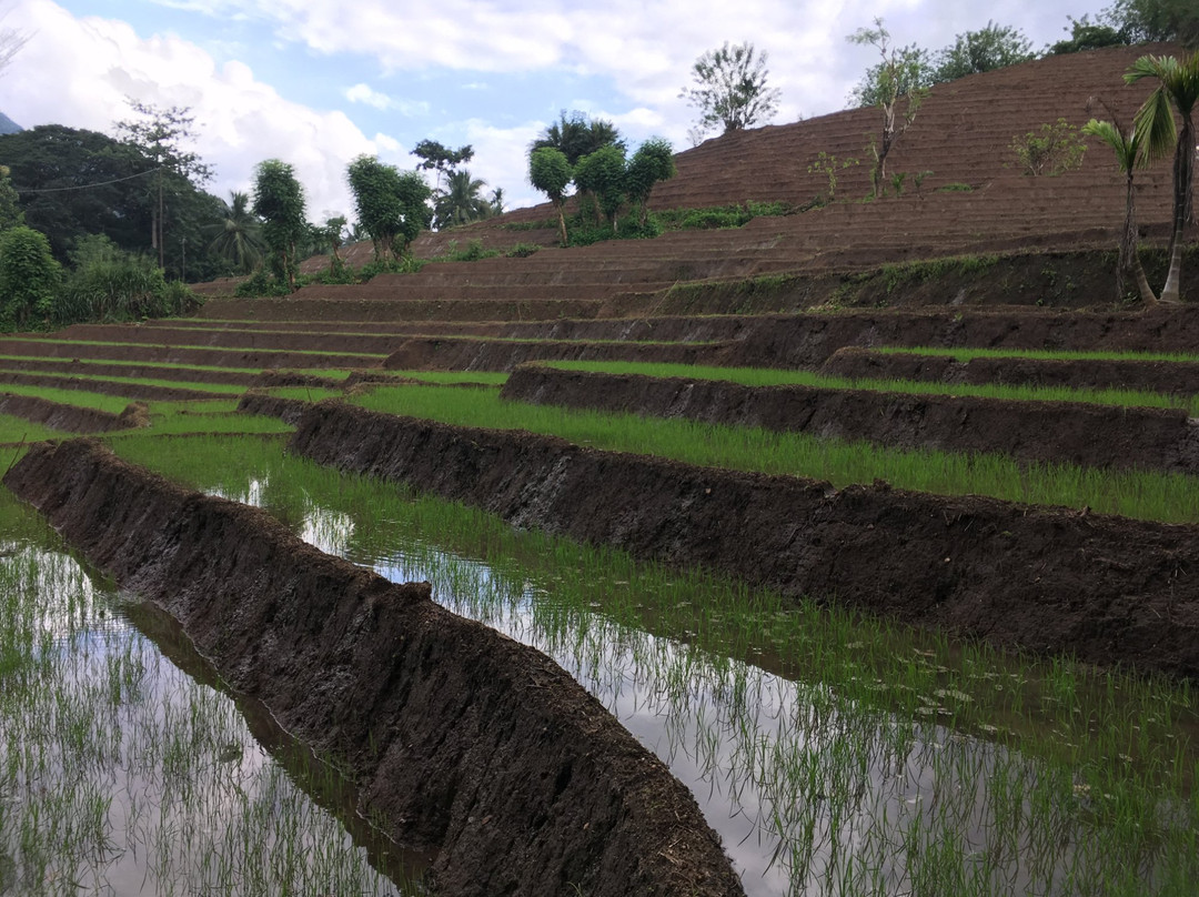 Ella Cabs Taxi Service-埃勒必去景点