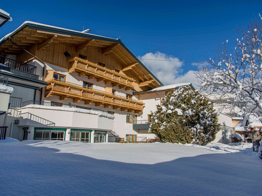 Aparthotel Steger主图