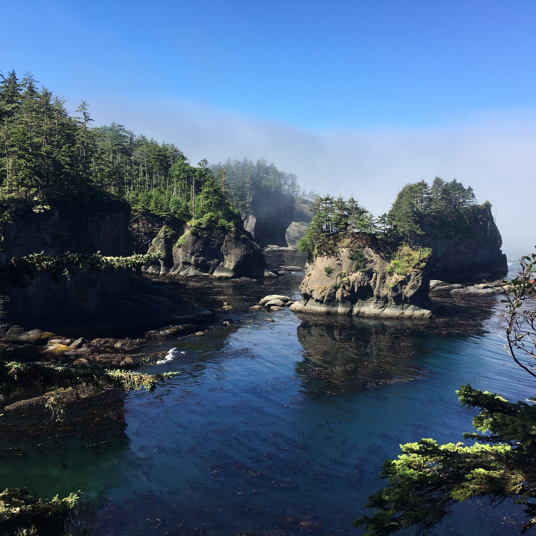 Cape Motel and RV Park-官方
