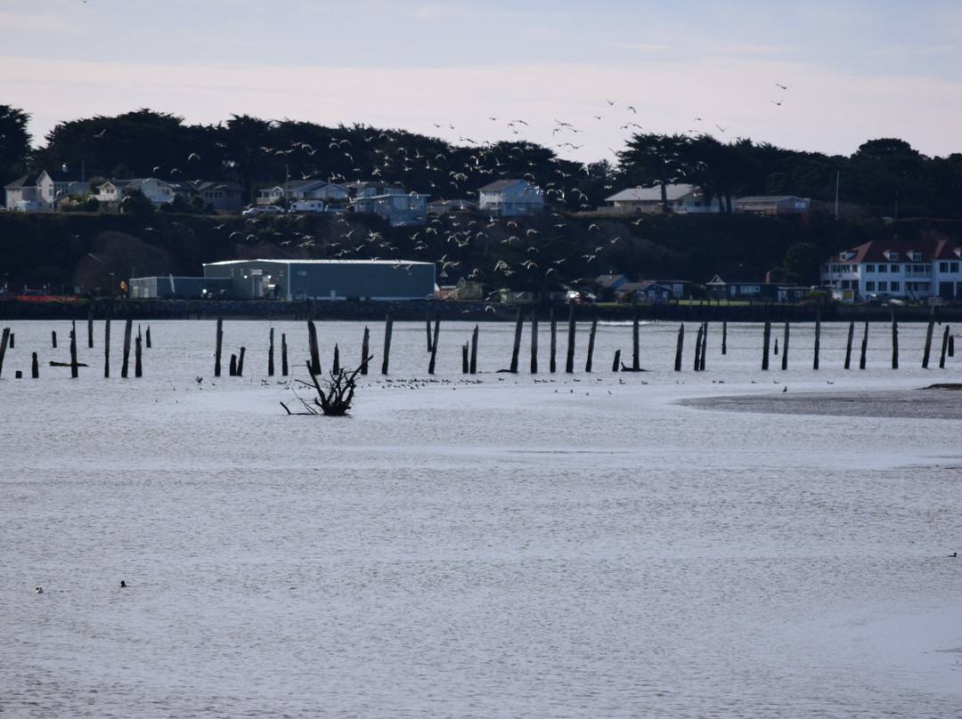 Bandon Marsh National Wildlife Refuge-班登必去景点