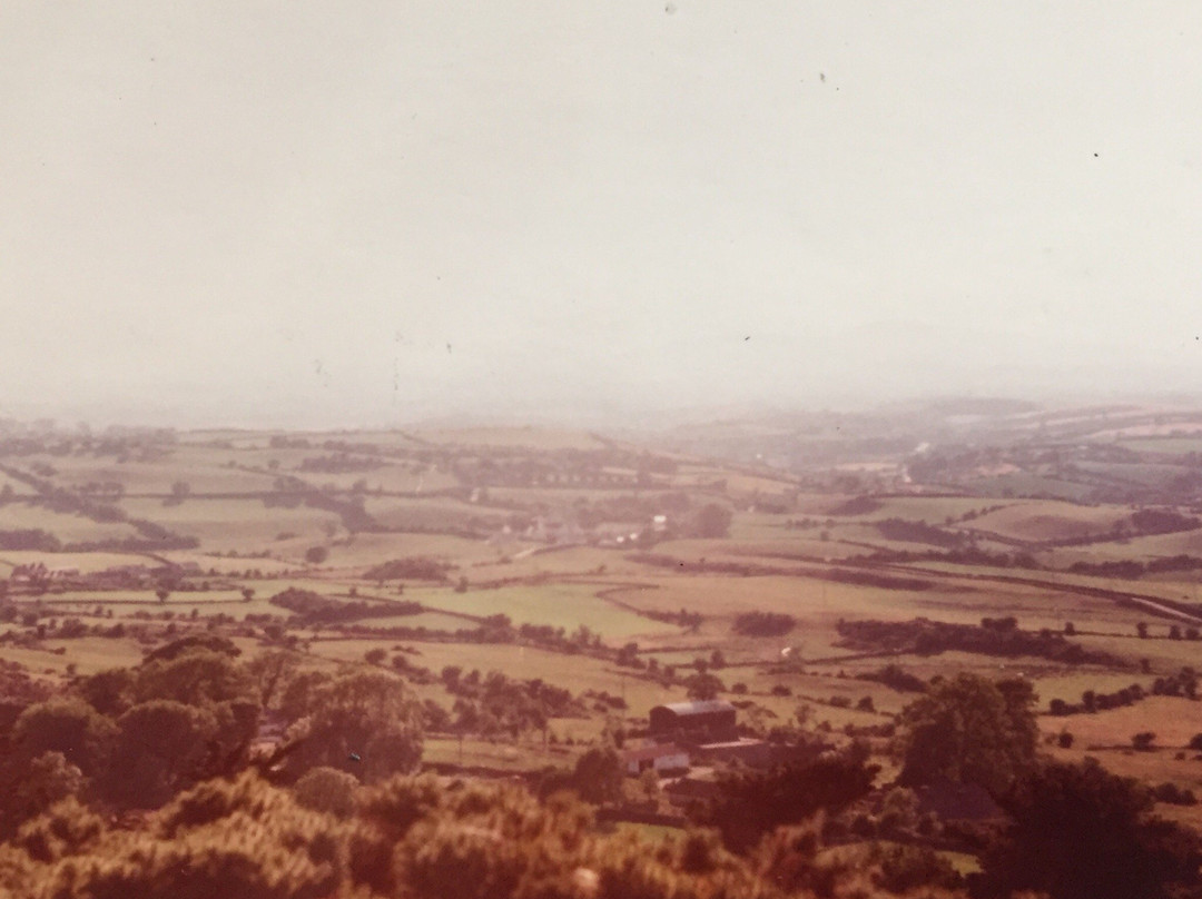 Slieve Patrick Statue-Downpatrick必去景点