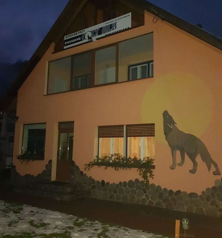 Baile Homorod旅游攻略图片