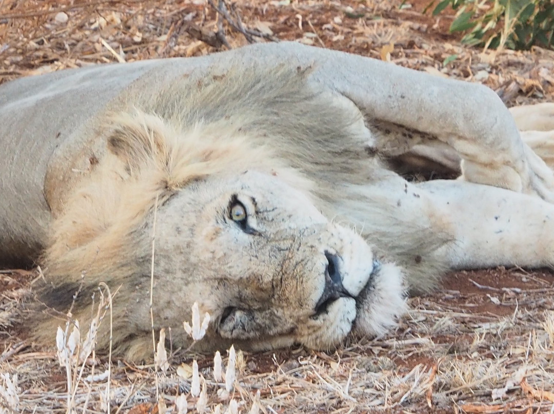 Excursions Bahati KENYA