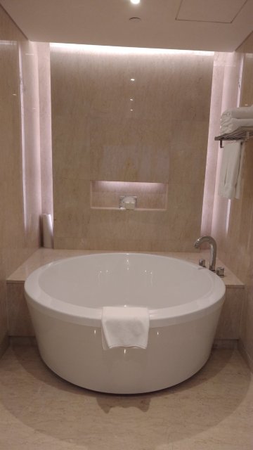 武汉洲际酒店-浴室