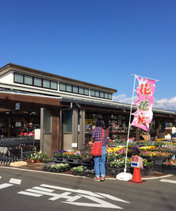 Asadorefami Narita景点门票图片