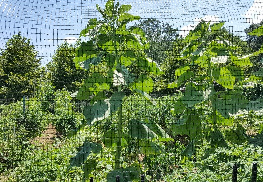 Greenway Farms Conference Center-Hixson必去景点