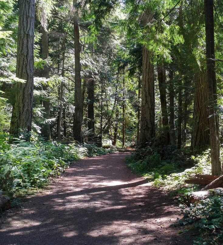Heritage Forest-魁利克姆海滩必去景点