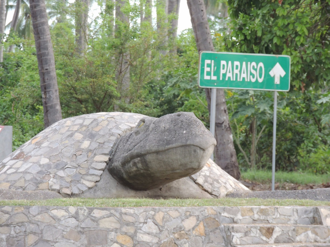 Armeria旅游攻略图片