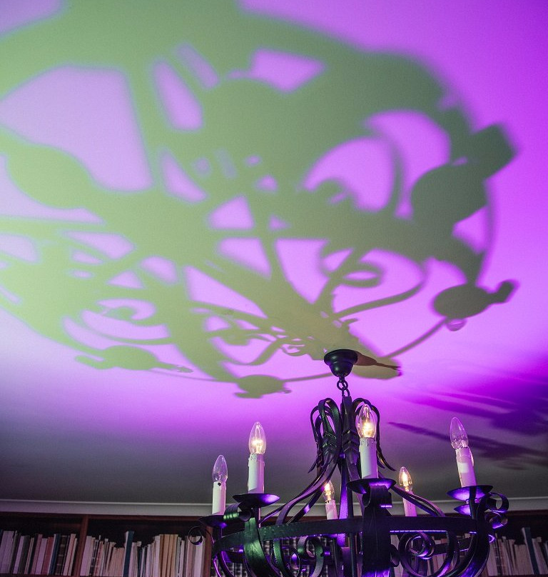 Escape Room Geelong - The Mad Scientist®-贝尔蒙特必去景点