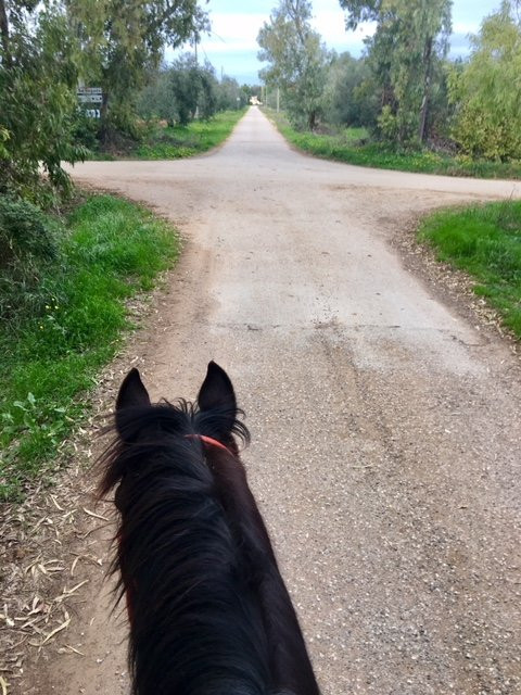 Asd Centro Ippico New Farm-阿尔盖罗必去景点