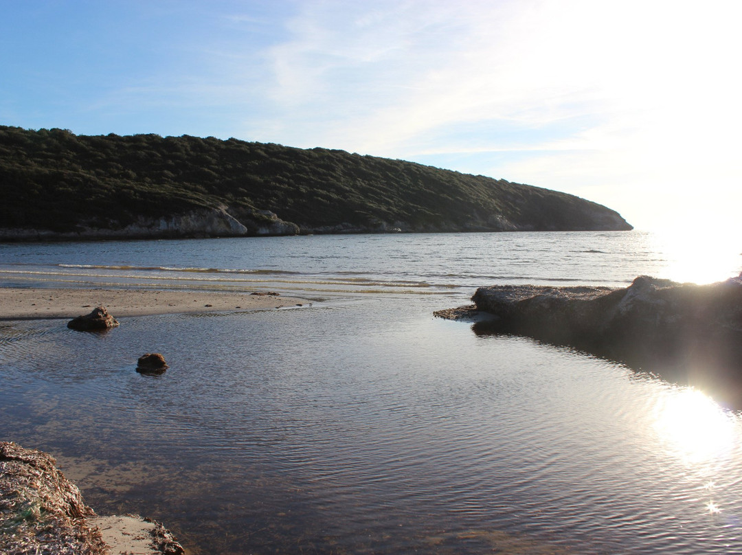 Beach Paraguan景点图片