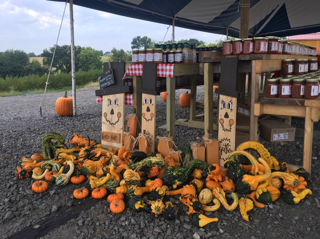 Historic Weston Orchard & Vineyard-Weston必去景点