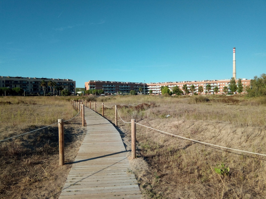 Playa de Les Gavines景点图片