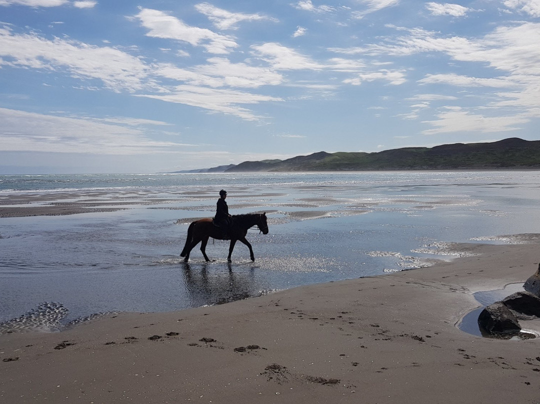 Surf & Turf Horse Riding Raglan-拉格伦必去景点