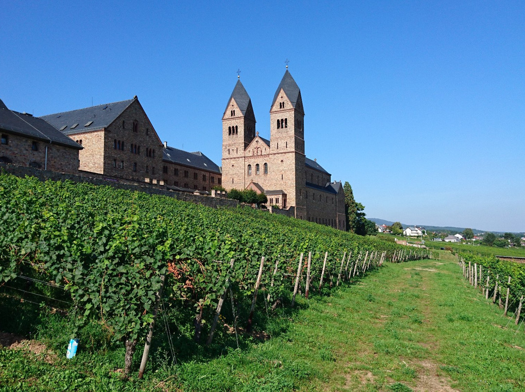Benedictine Abbey of St. Hildegard景点图片