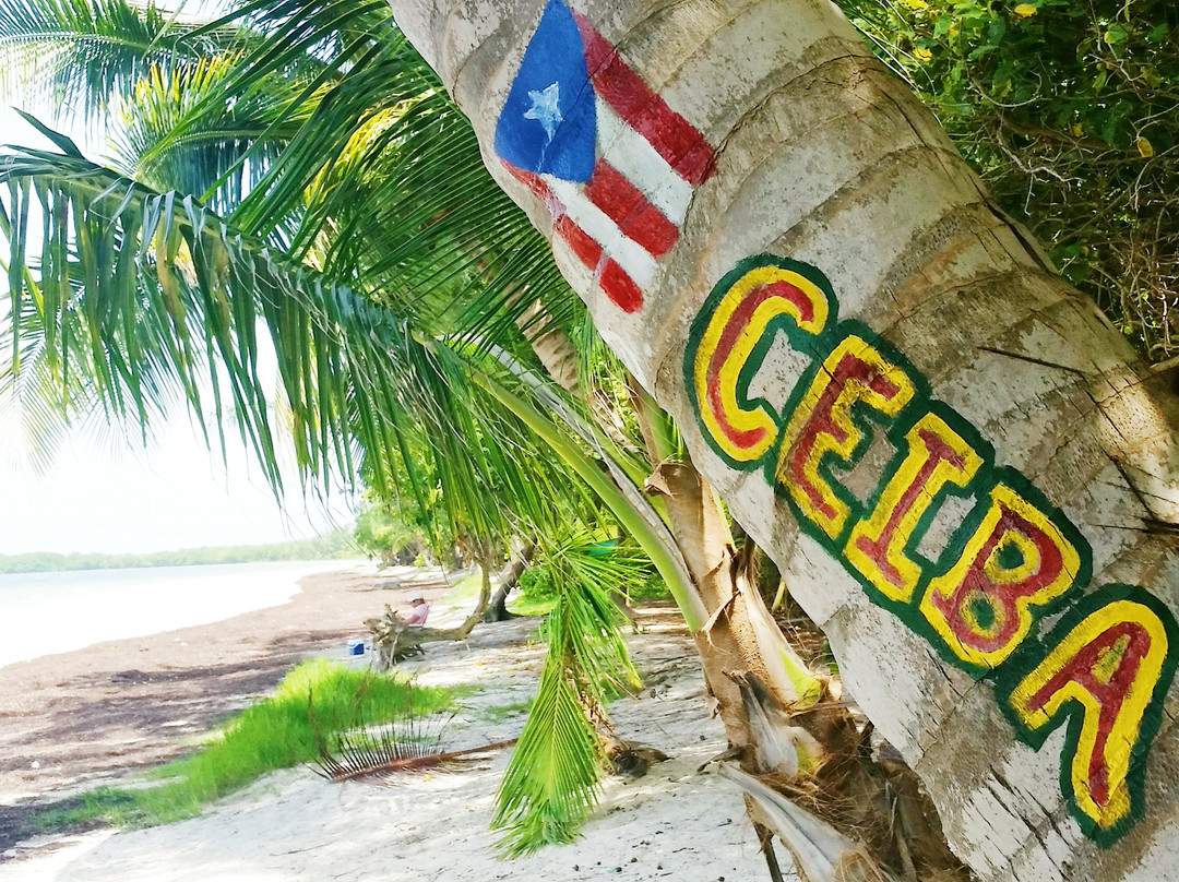 Reserva Natural Medio Mundo y Daguao-Ceiba必去景点