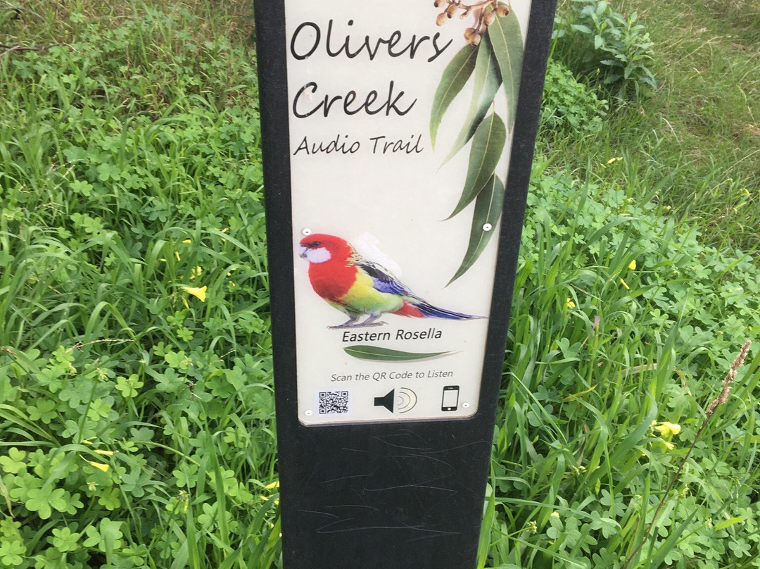 Olivers Creek Bushland Reserve景点图片